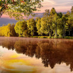 beautiful-pond-landscape-during-sunrise